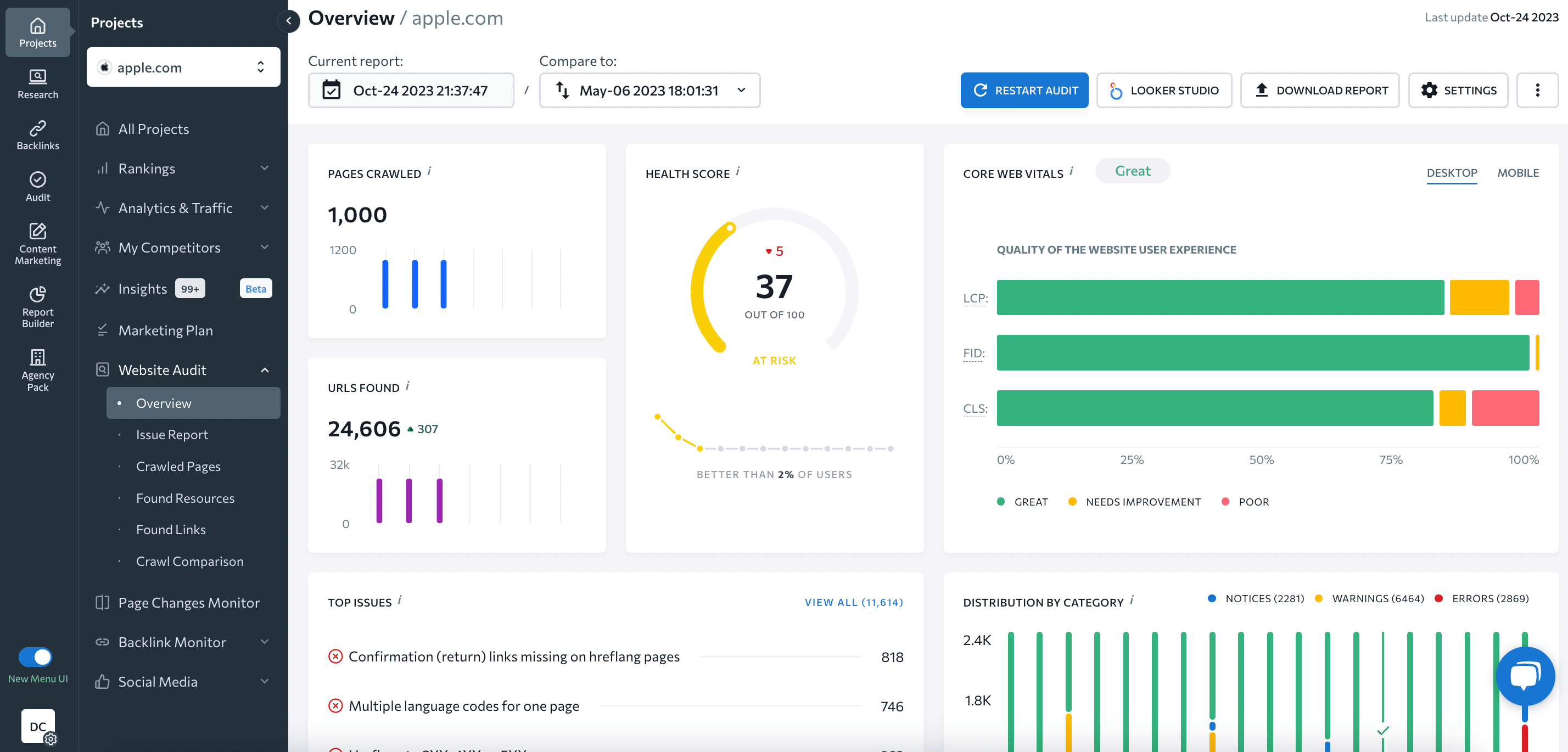 Overview of the Website Audit report