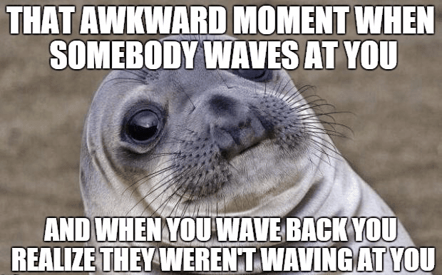 meme with awkward seal