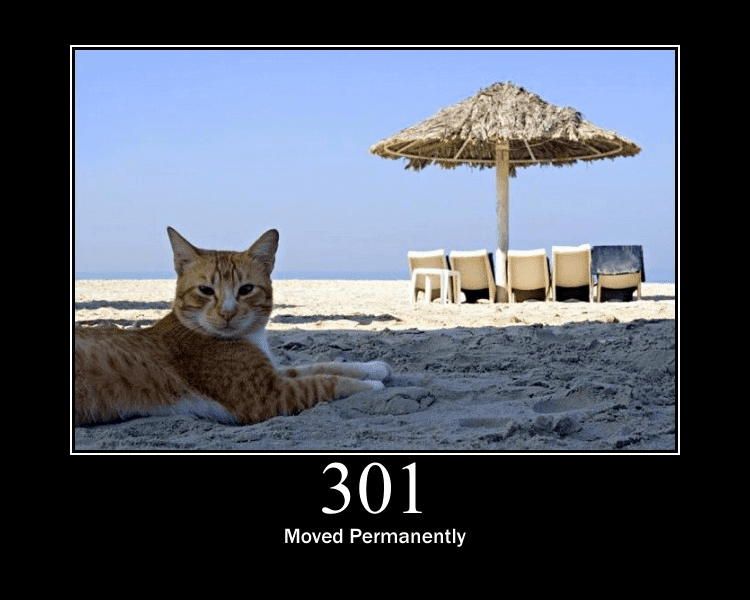 301 Moved Permanently meme