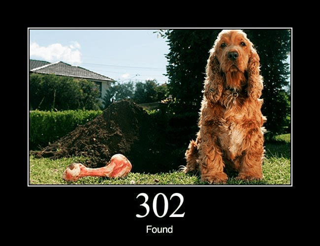 302 Found meme