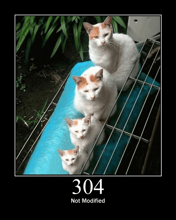 304 Not Modified meme
