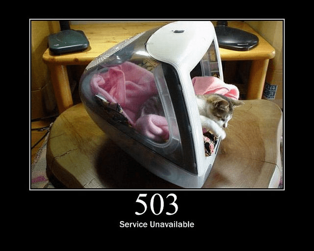 503 Service Unavailable meme