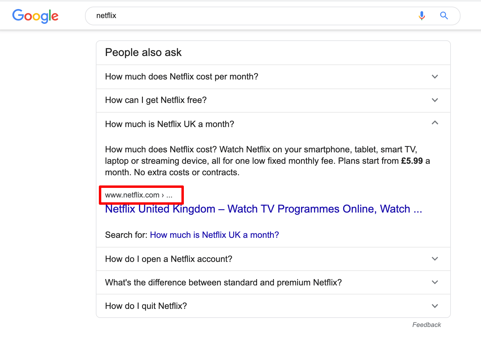 Netflix SERP People Also Ask box