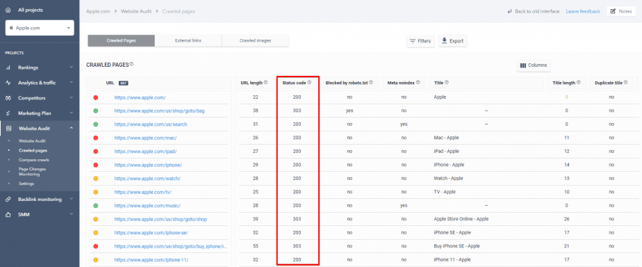 How to view status codes via Website Audit