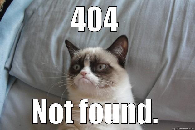 404 not found meme