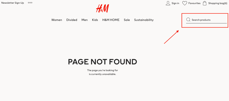 404 search bar