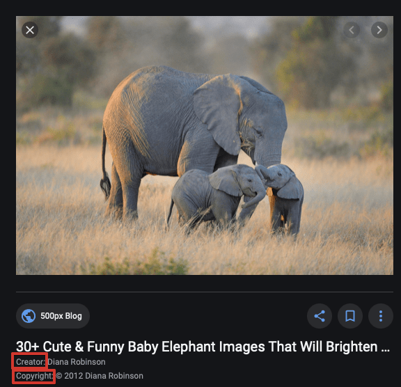 Copyright metadata for images