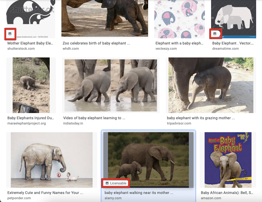 Licensable images marked in the SERP , SEO, Wordpress Support & Insurance, Mortgage, Loans, Legal, Etc Blogs