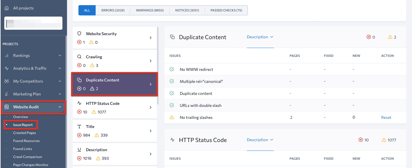 Duplicate content issues in Website Audit