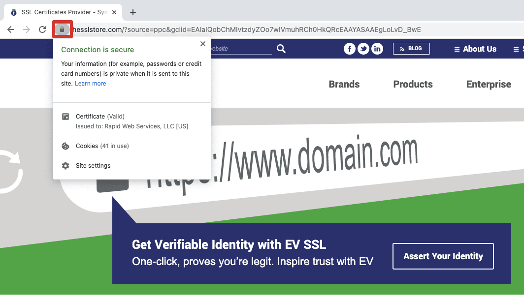 Certificate information in the Chrome browser