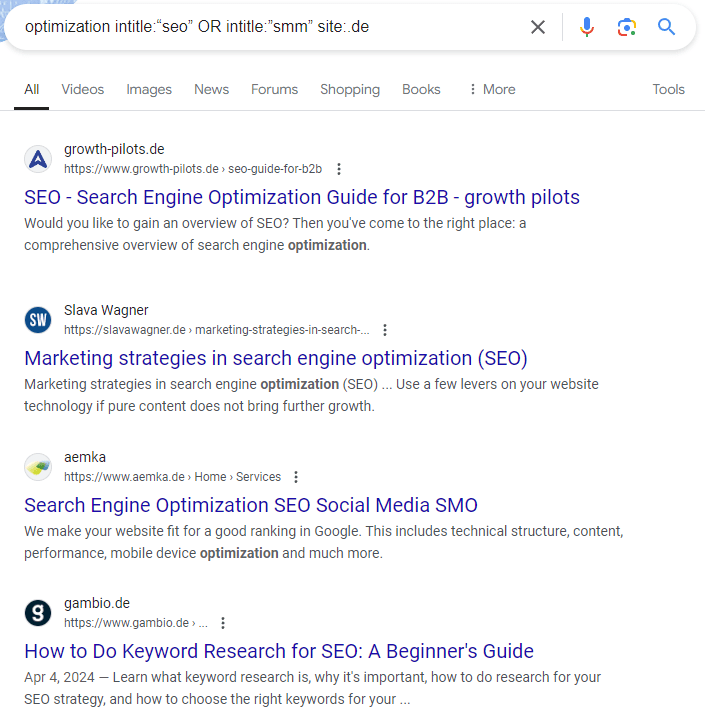 optimization intitle:"seo" OR intitle:"smm" site:.de