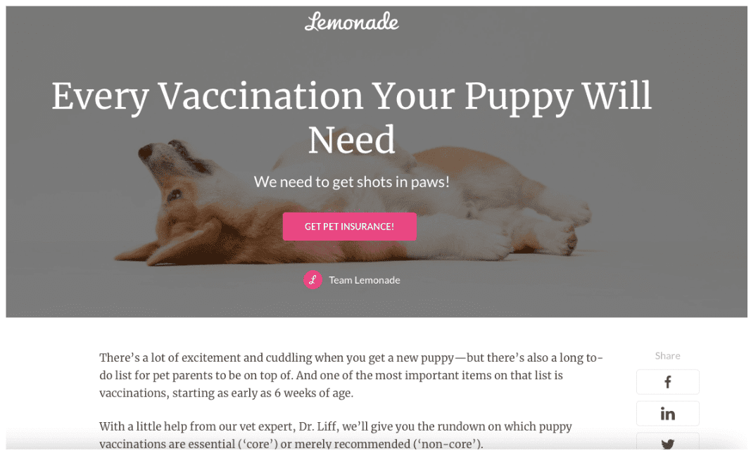 A screenshot of Lemonade pet insurance illustrating a CTA example for conversion rate optimization purposes