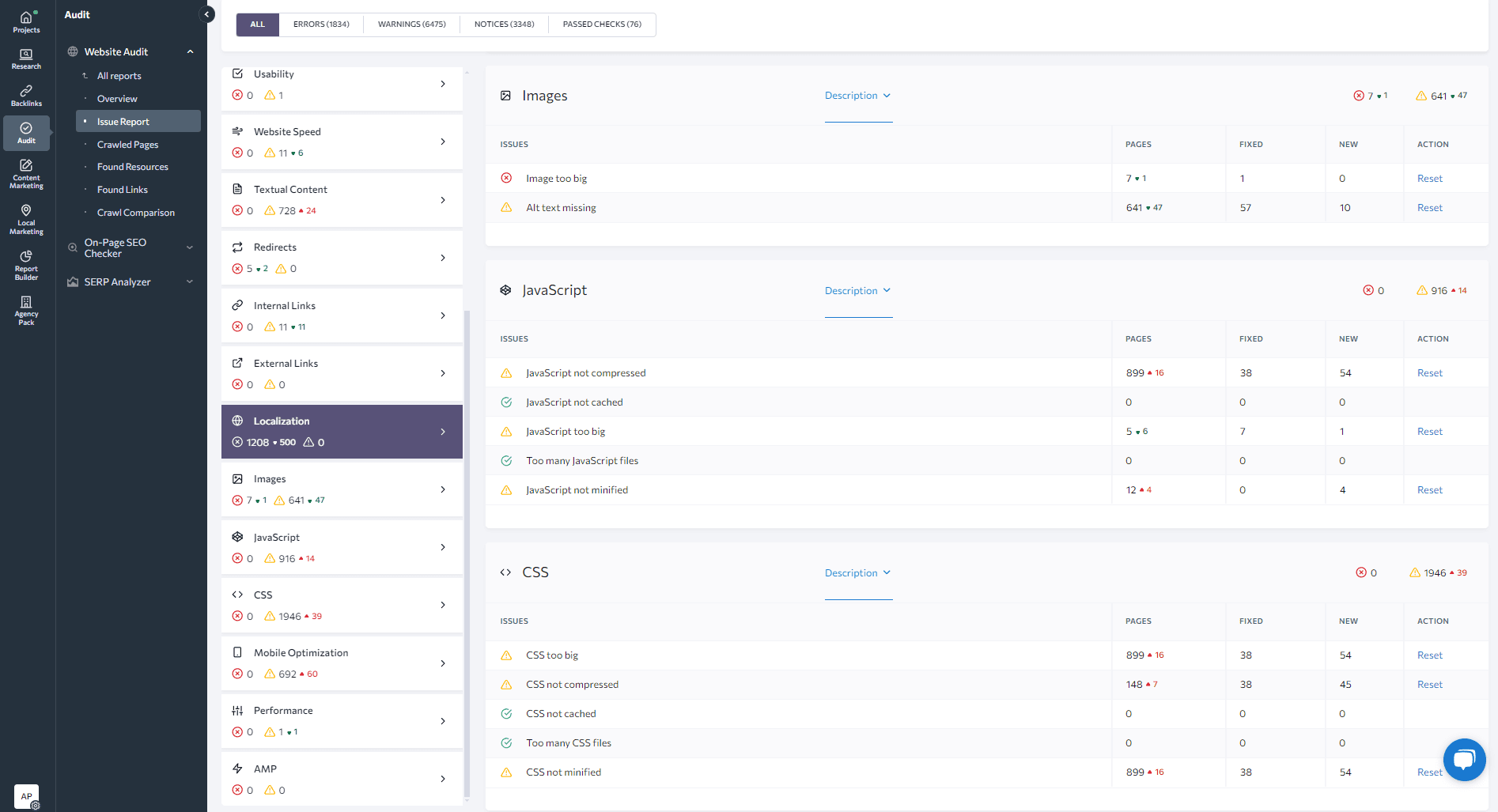 SE Ranking's Website Audit tool 