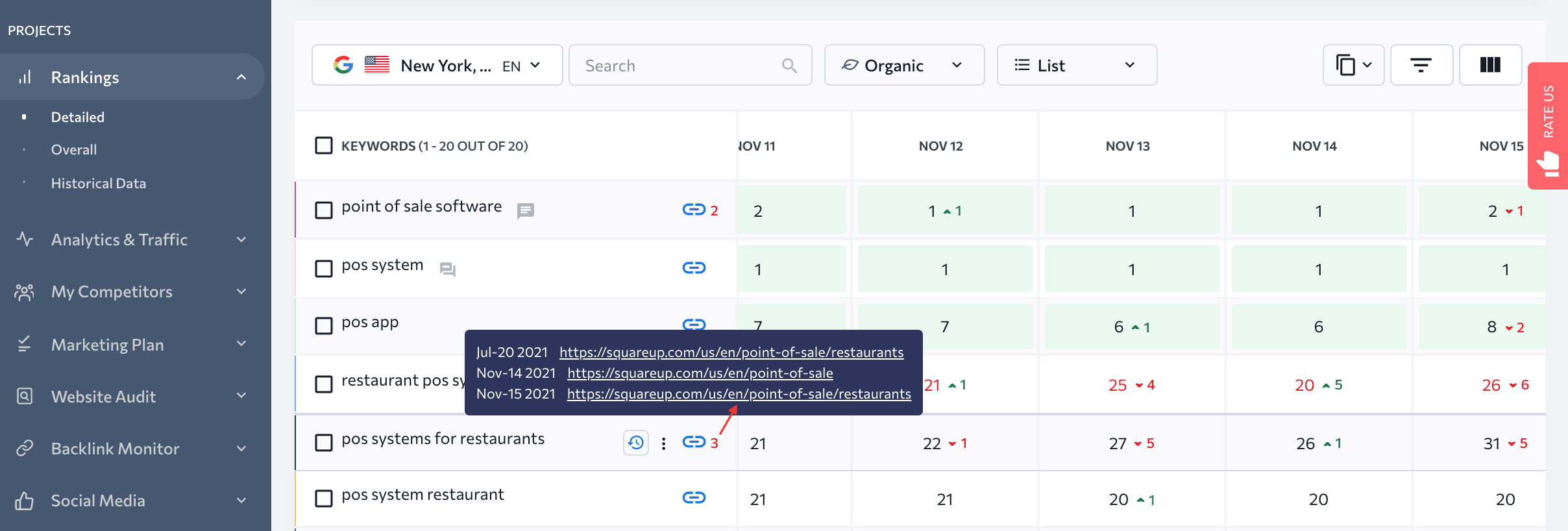 Keyword cannibalization issue flagged in the Rankings table