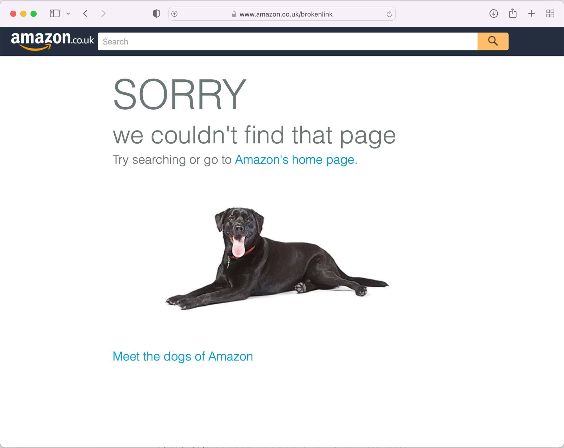 Amazon's 404 page