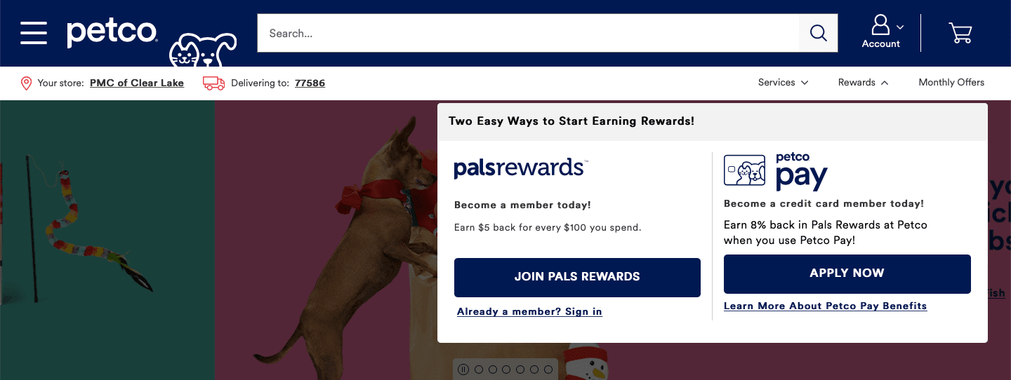 Reward program on an ecommerce site