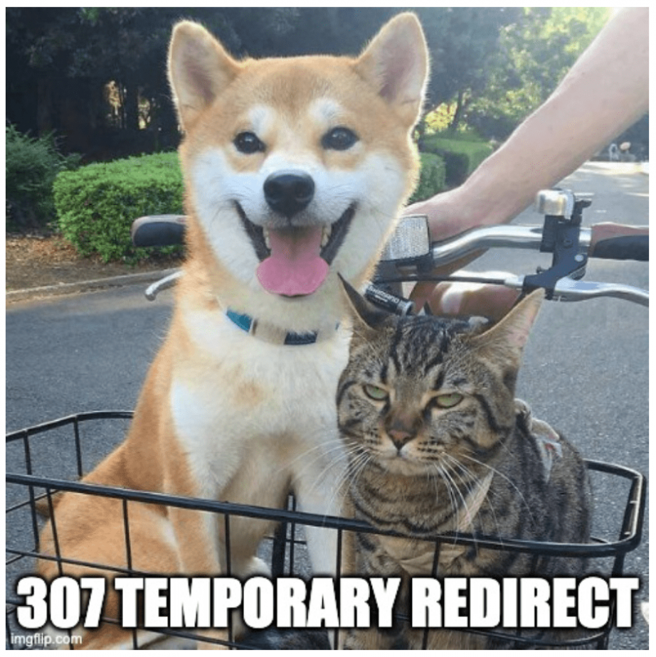 307 Temporary Redirect meme