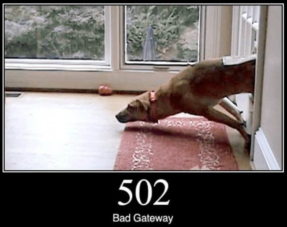 502 Bad Gateway meme