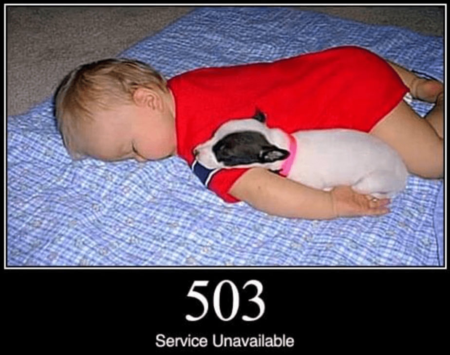 503 Service Unavailable meme