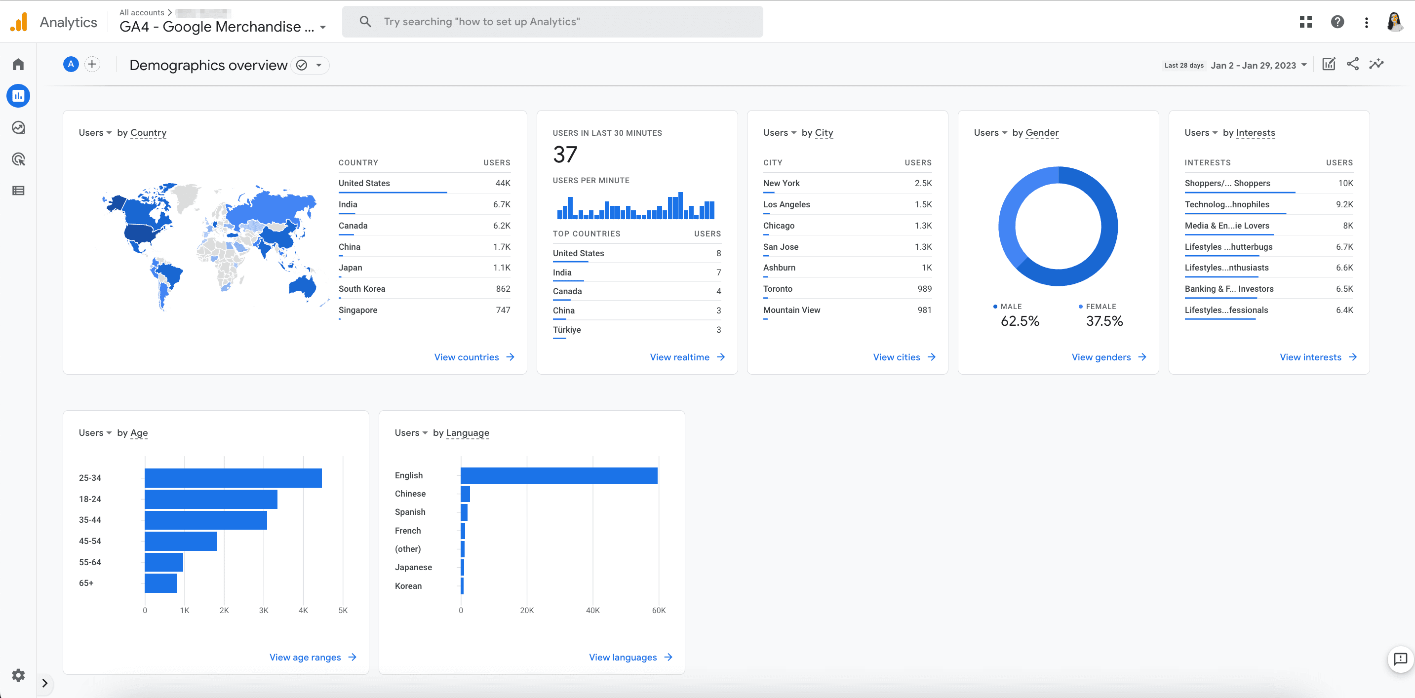 Google Analytics demographic report