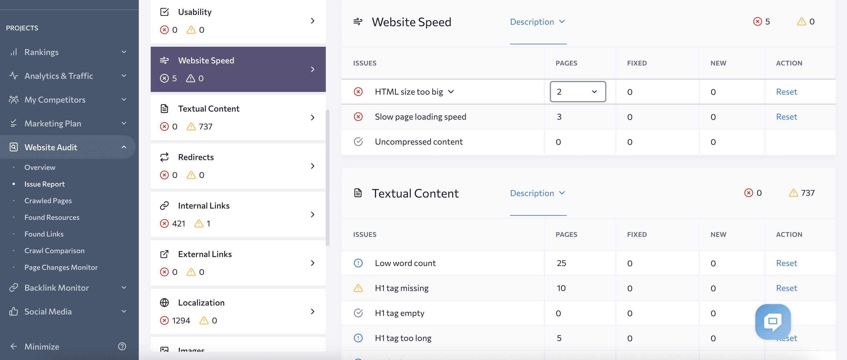 Issues report n Website Audit tool