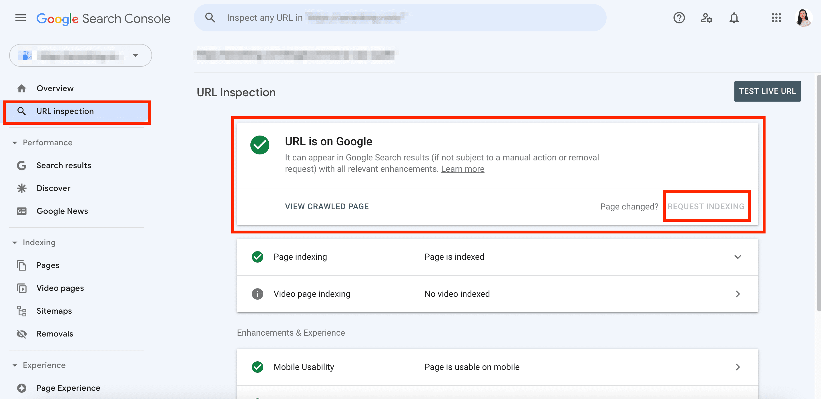 URL inspection in GSC