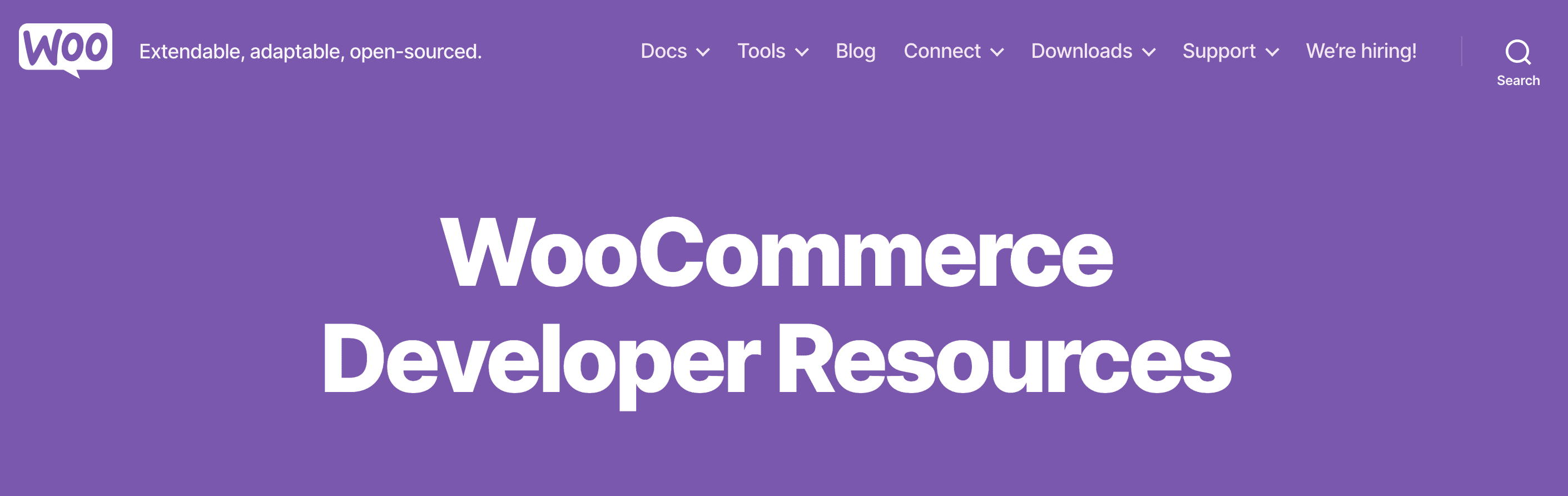 WooCommerce Developers