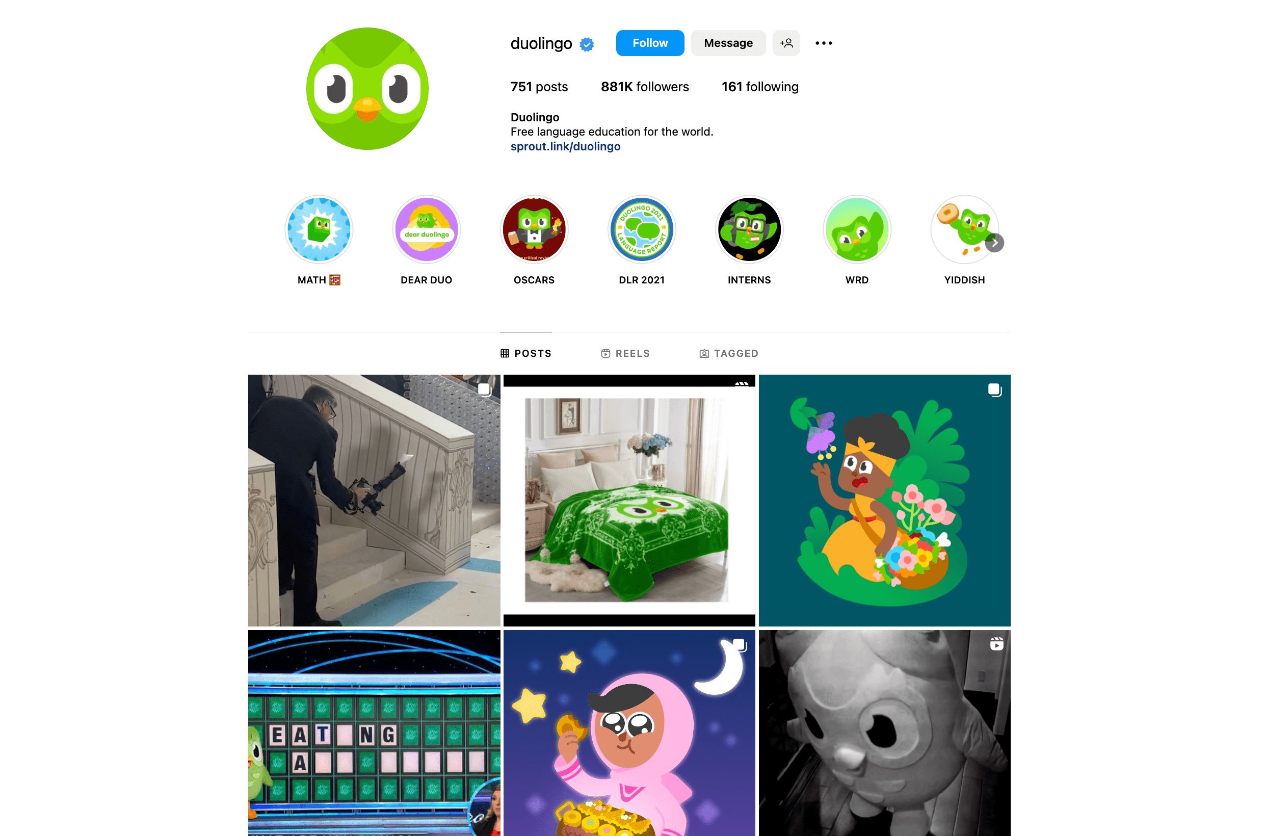 Duolingo Instagram Profile