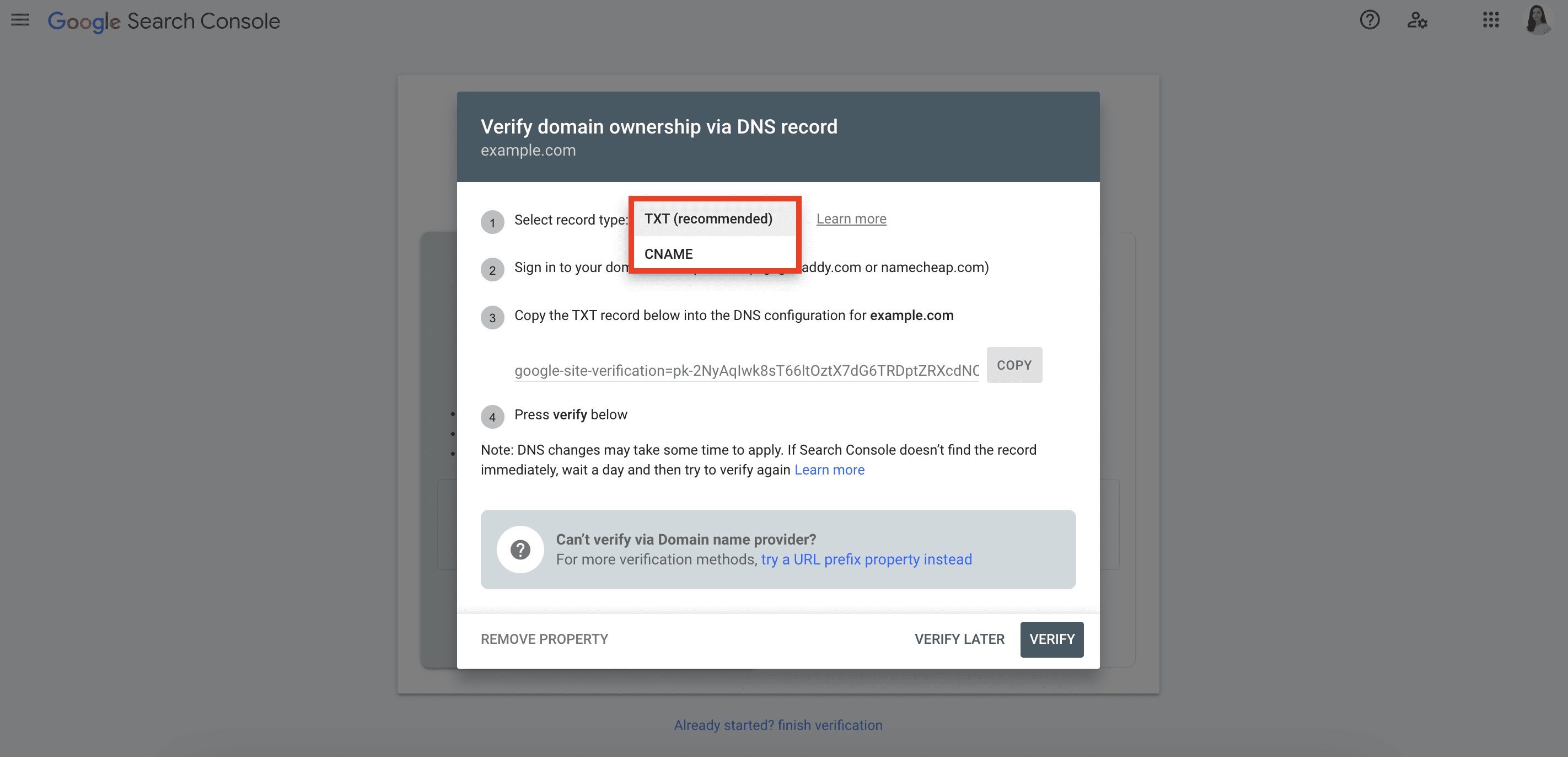 Choose record type for GSC verification through DNS record