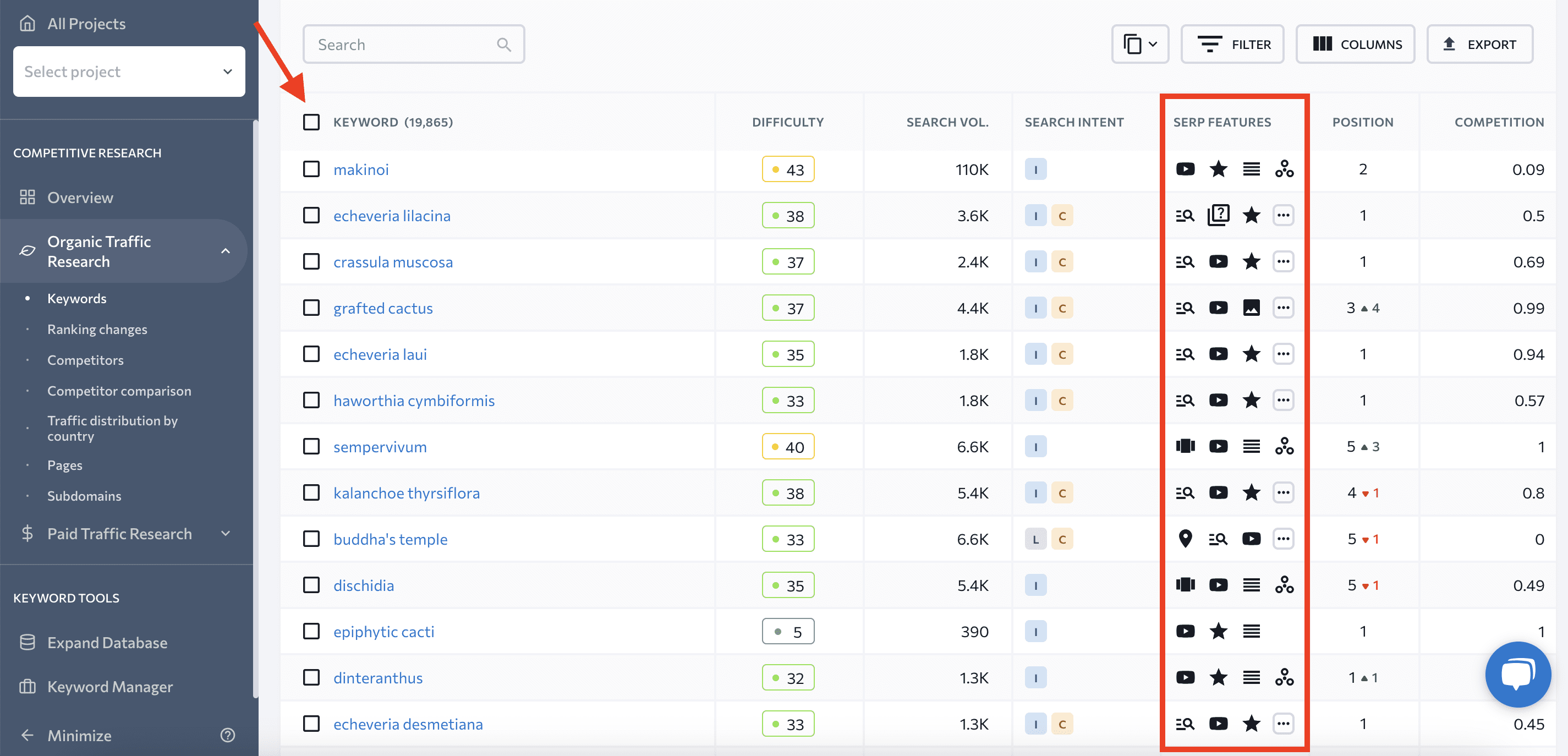 SERP Features column in Competitive Research Tool