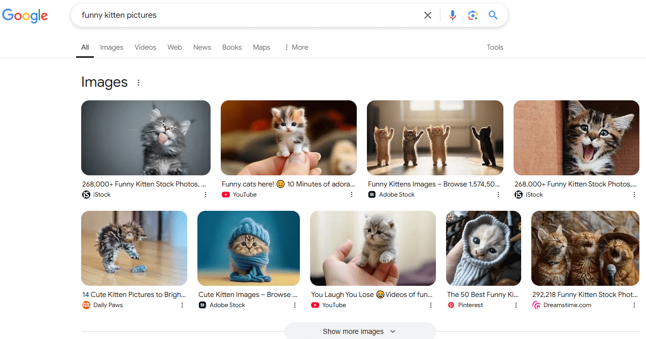 Images section in Google