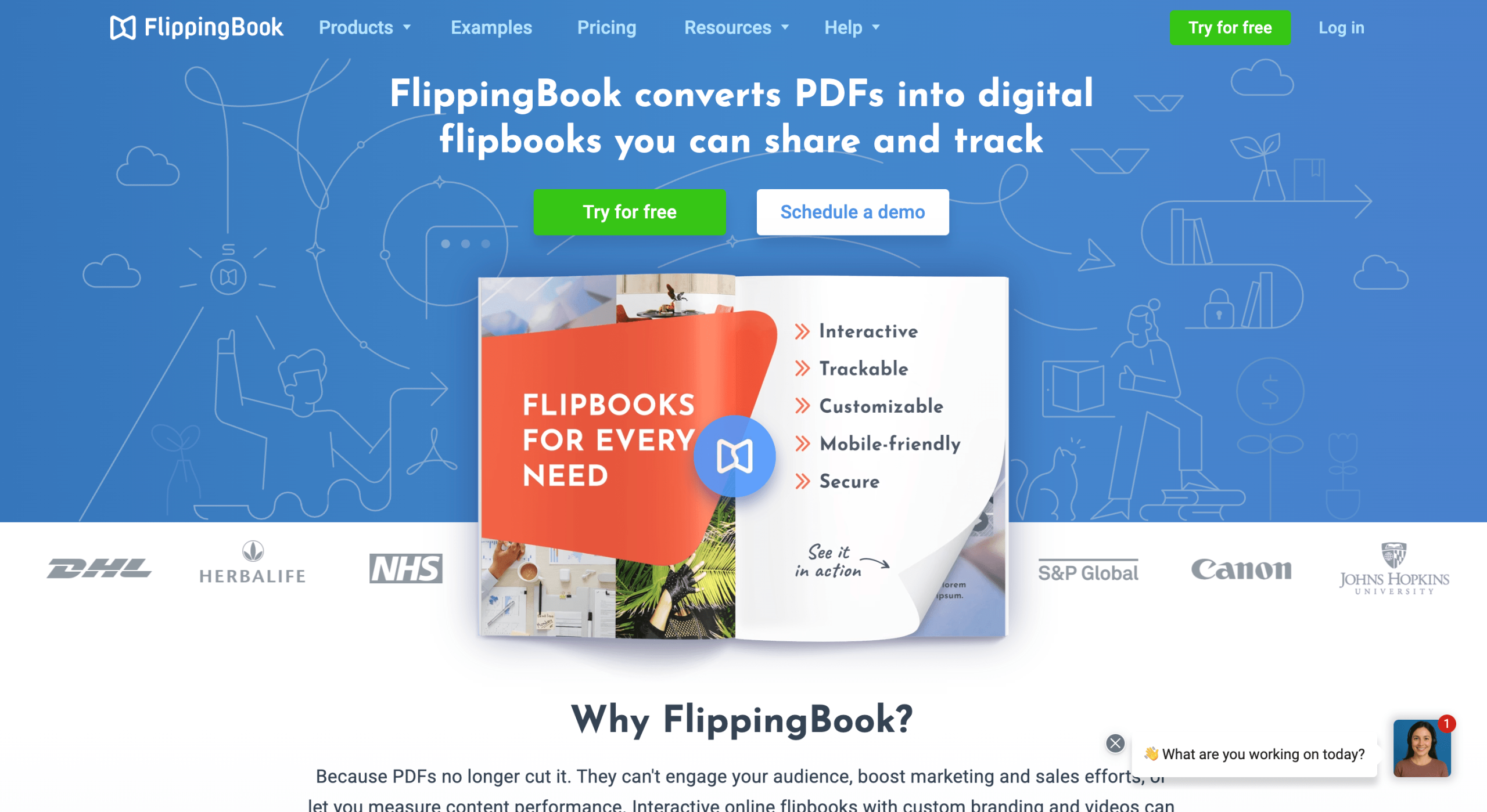 FlippingBook home page FlippingBook main page