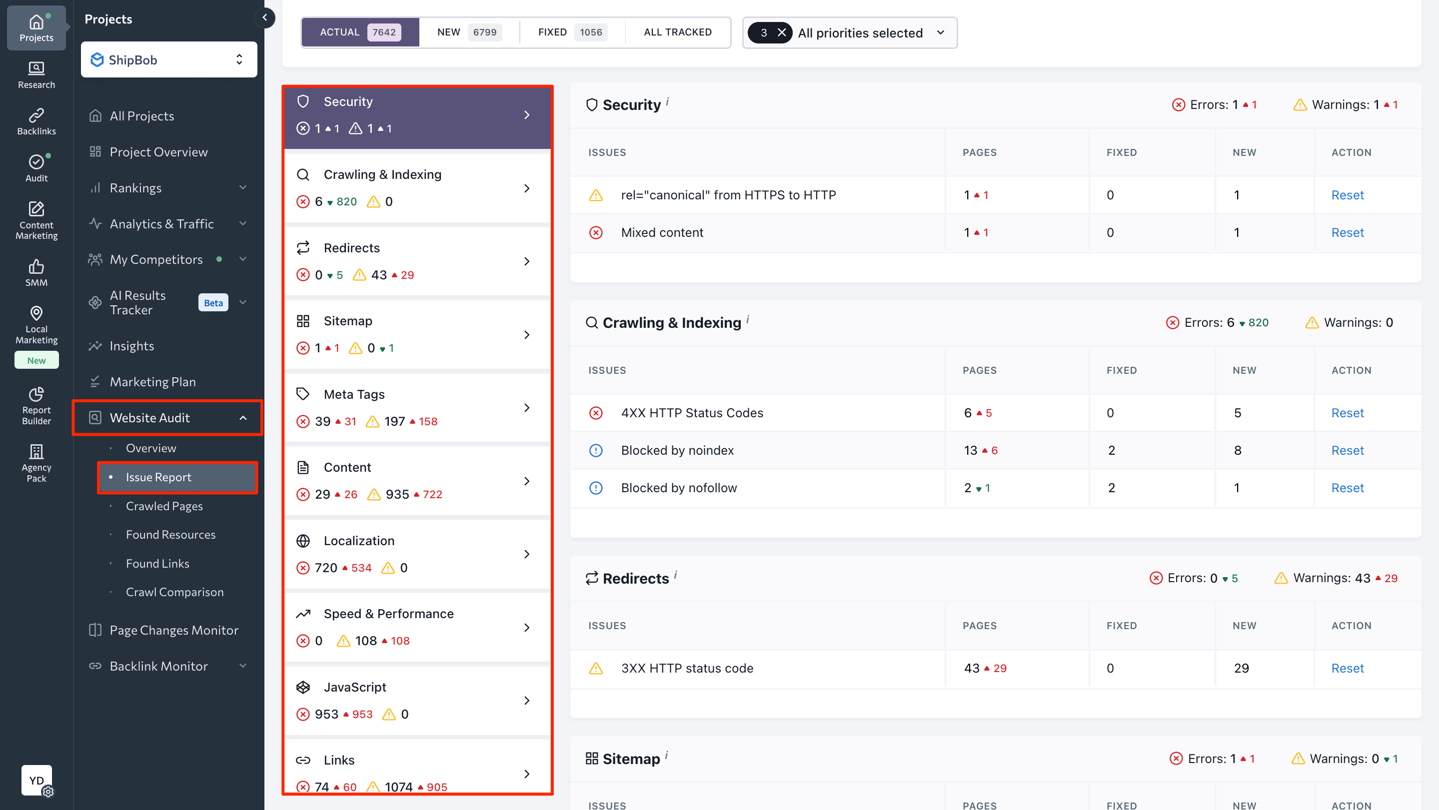 Issue Report in Website Audit