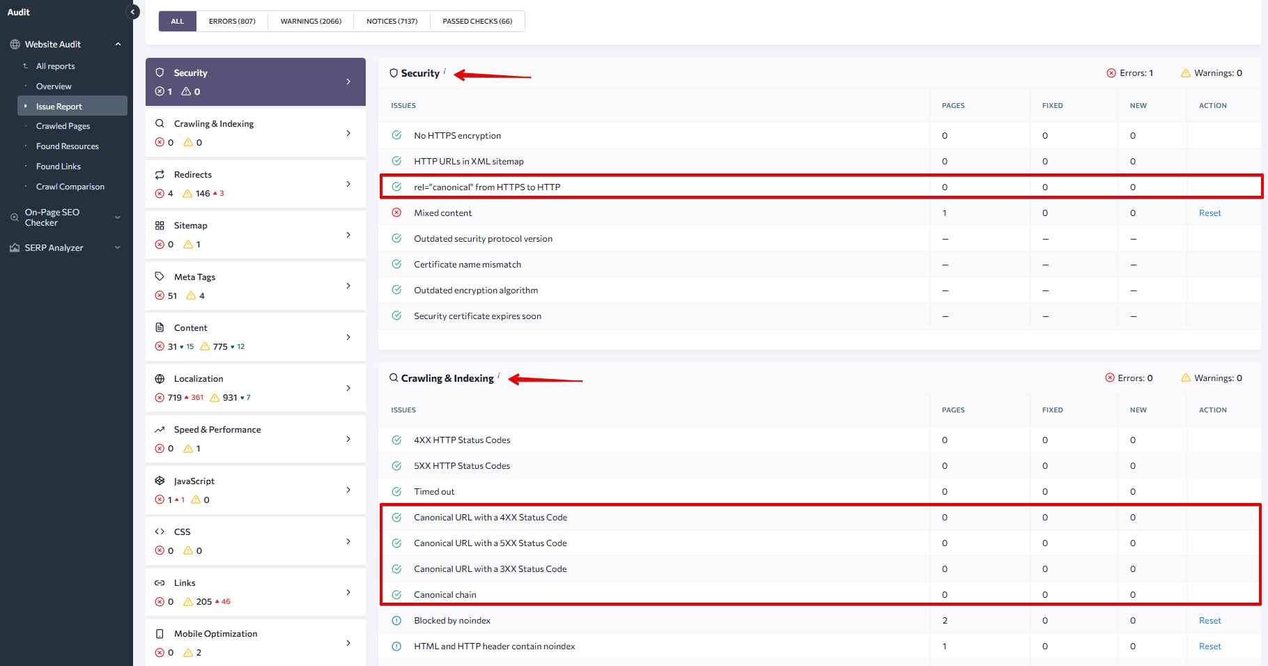 Canonical issues in the Issue report of the Website Audit tool