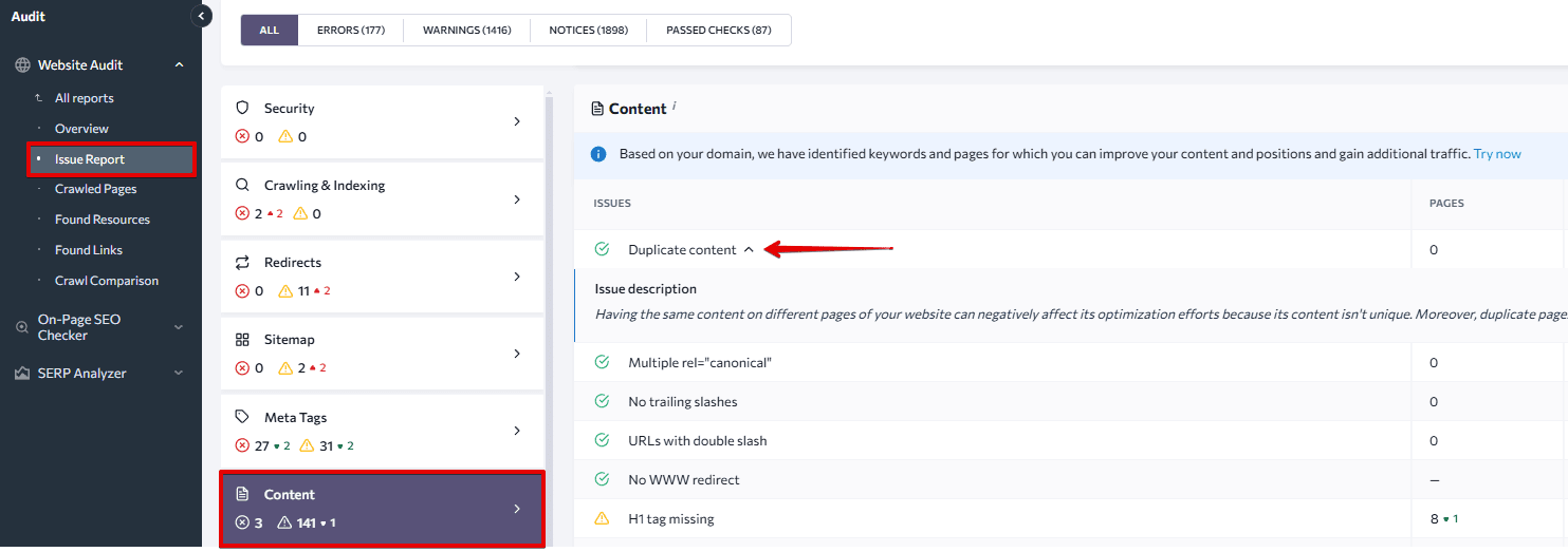 Duplicate content in the Website Audit issue report