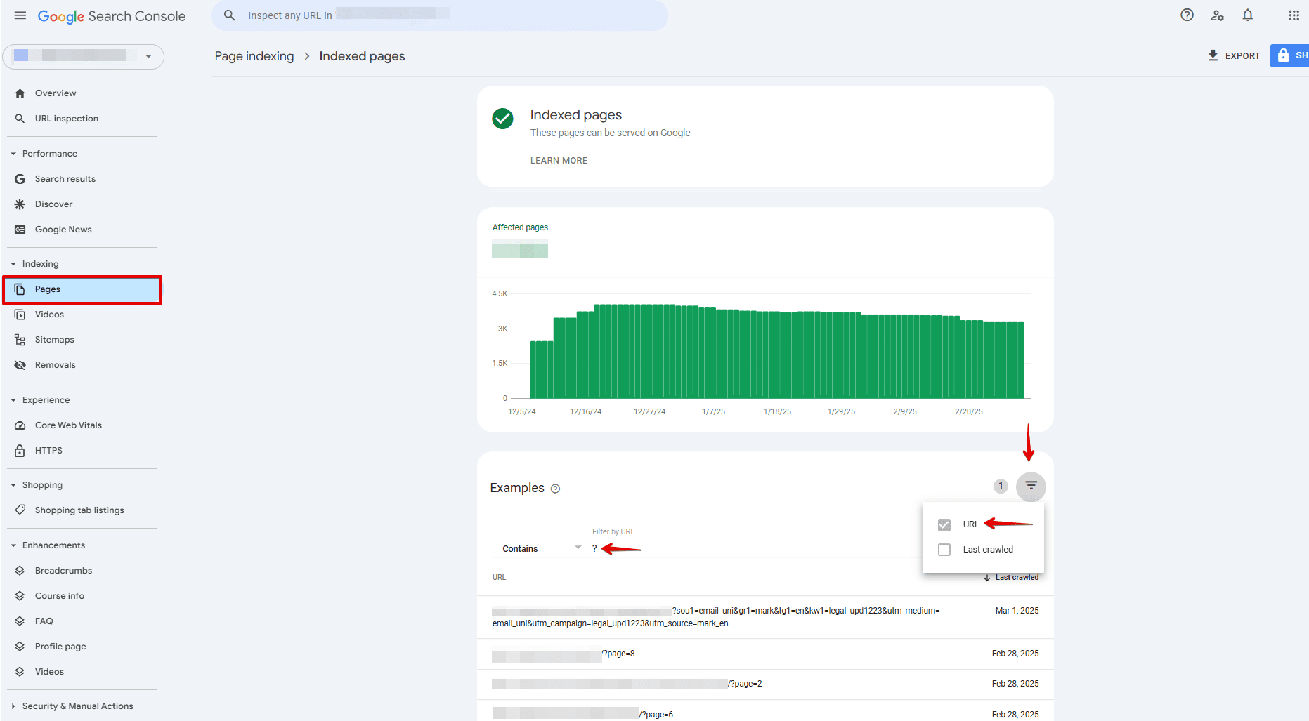 Monitoring URLs with parameters via GSC