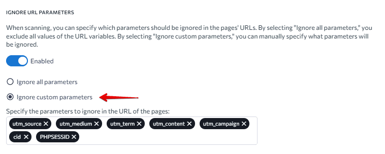 Ignore custom parameters option