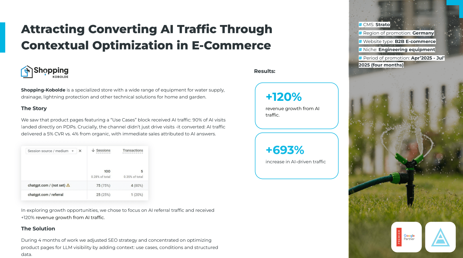 Netpeak USA case study Netpeak USA campaign