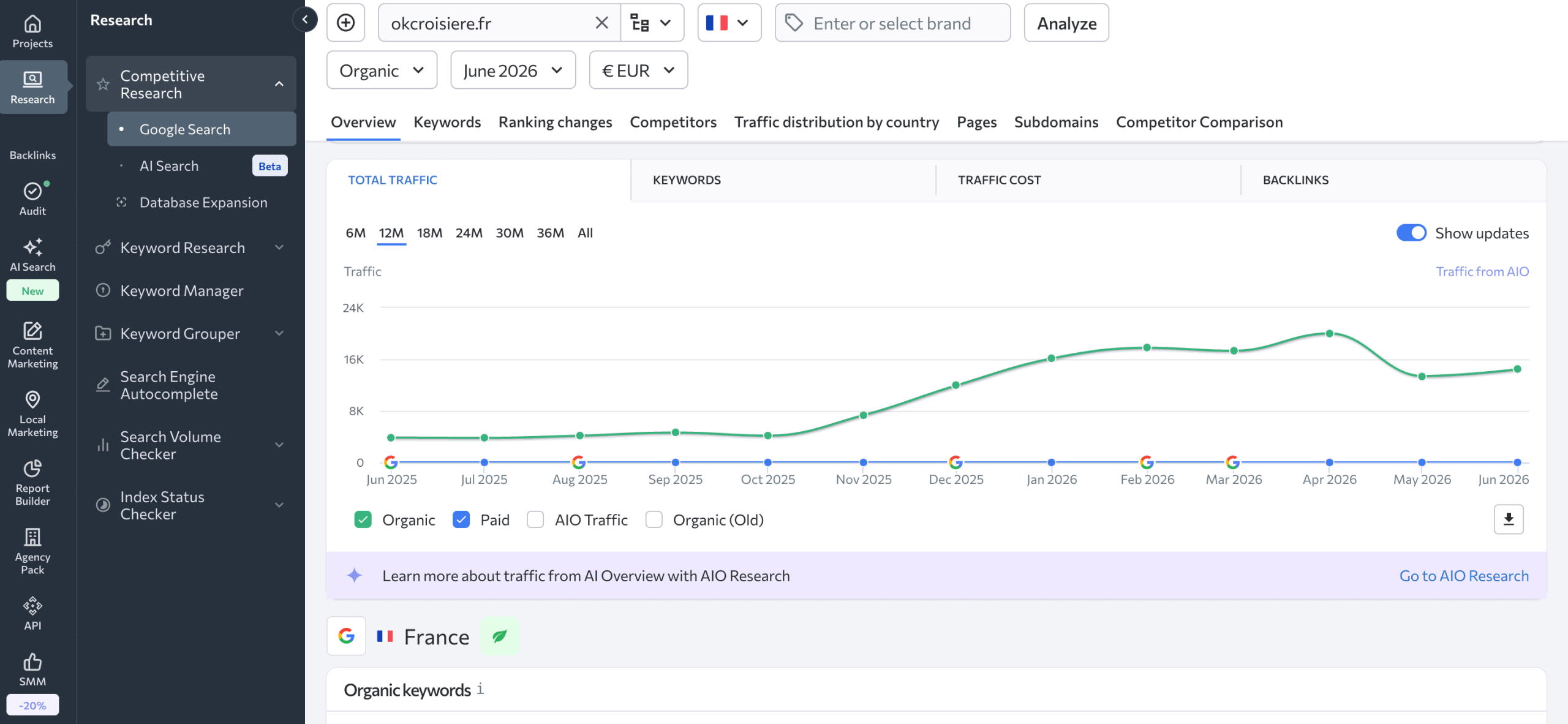 How client's traffic grew shown in SE Ranking Competitive Research Traffic growth in Competitive Research