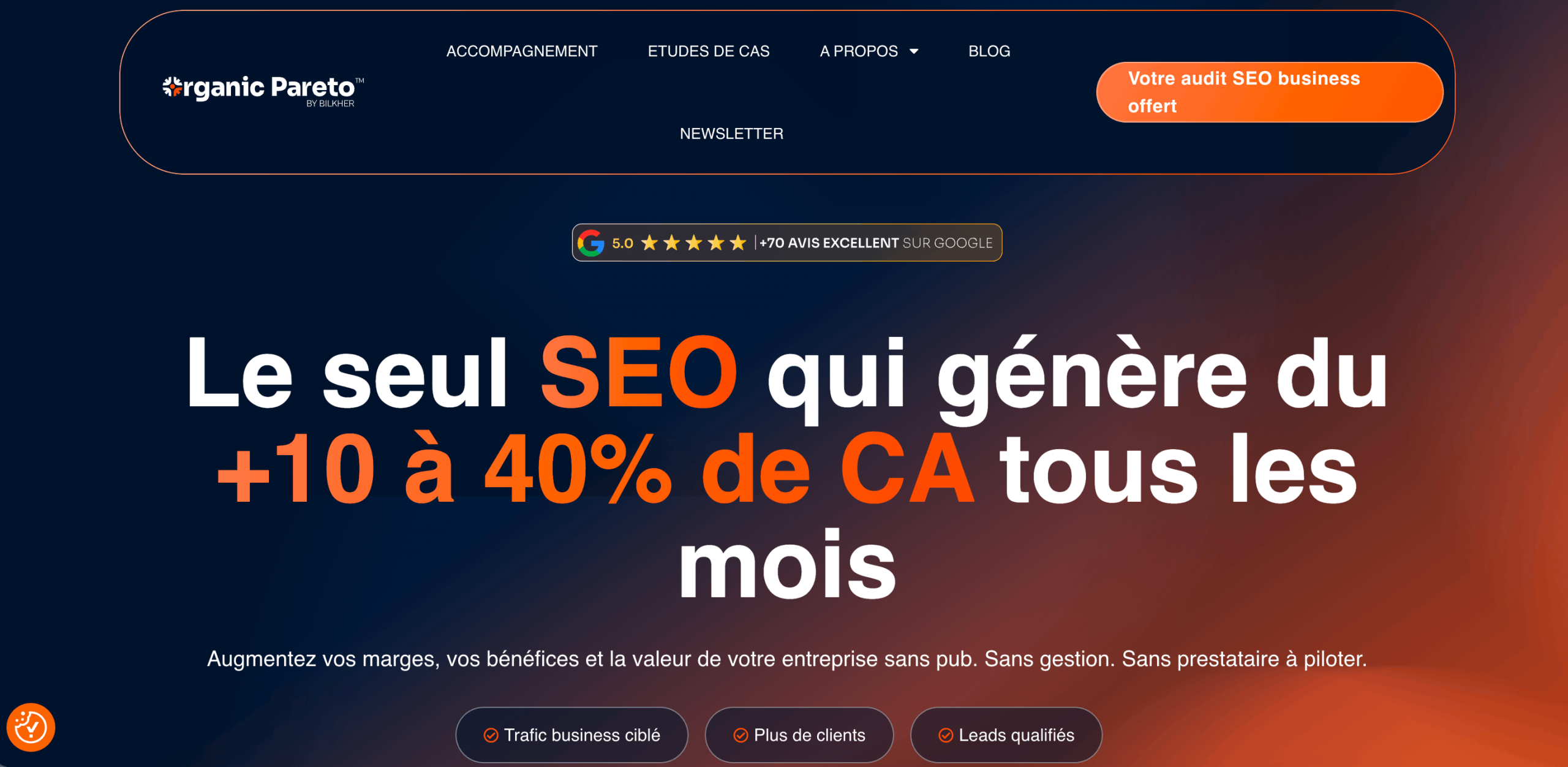 Organic Pareto SEO consultancy Organic Pareto™ SEO consultancy