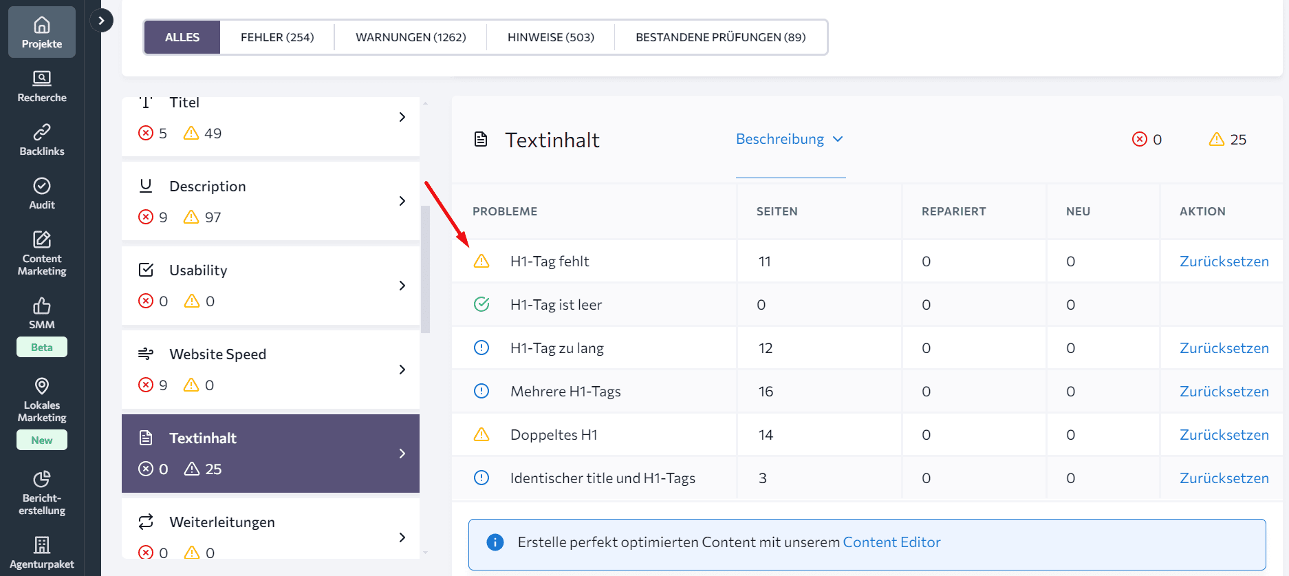 Wie man Textinhalte in Website-Audit analysiert