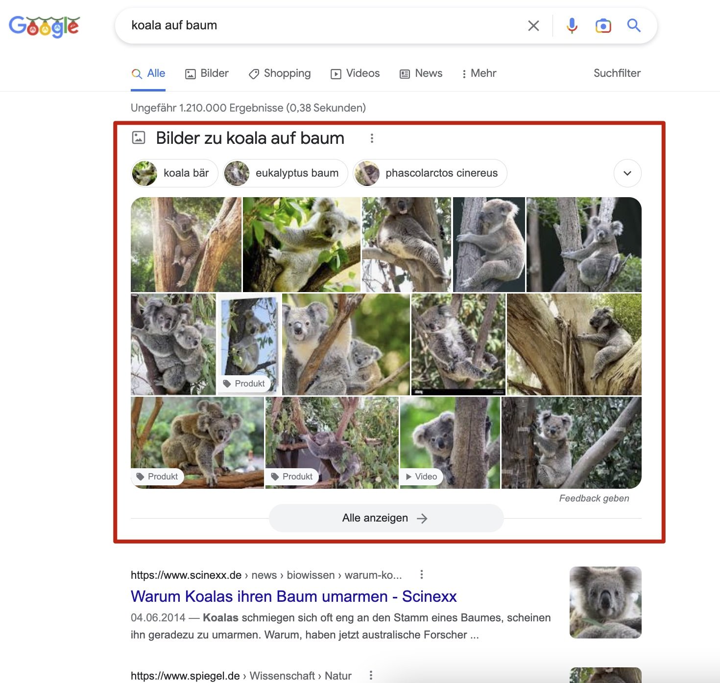 Beispiel von Image Pack in Google Suche