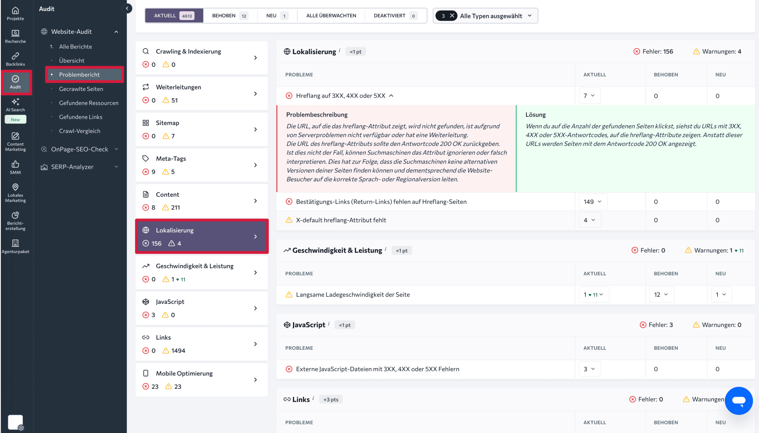 Fehlerbericht im Website-Audit