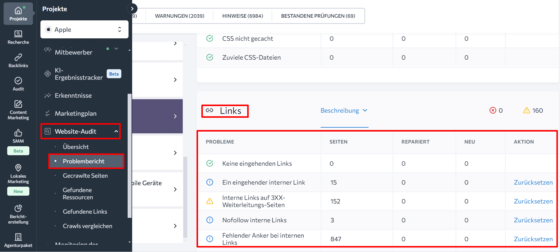 Abschnitt Interne Links im Probleme-Bericht des Website-Audits