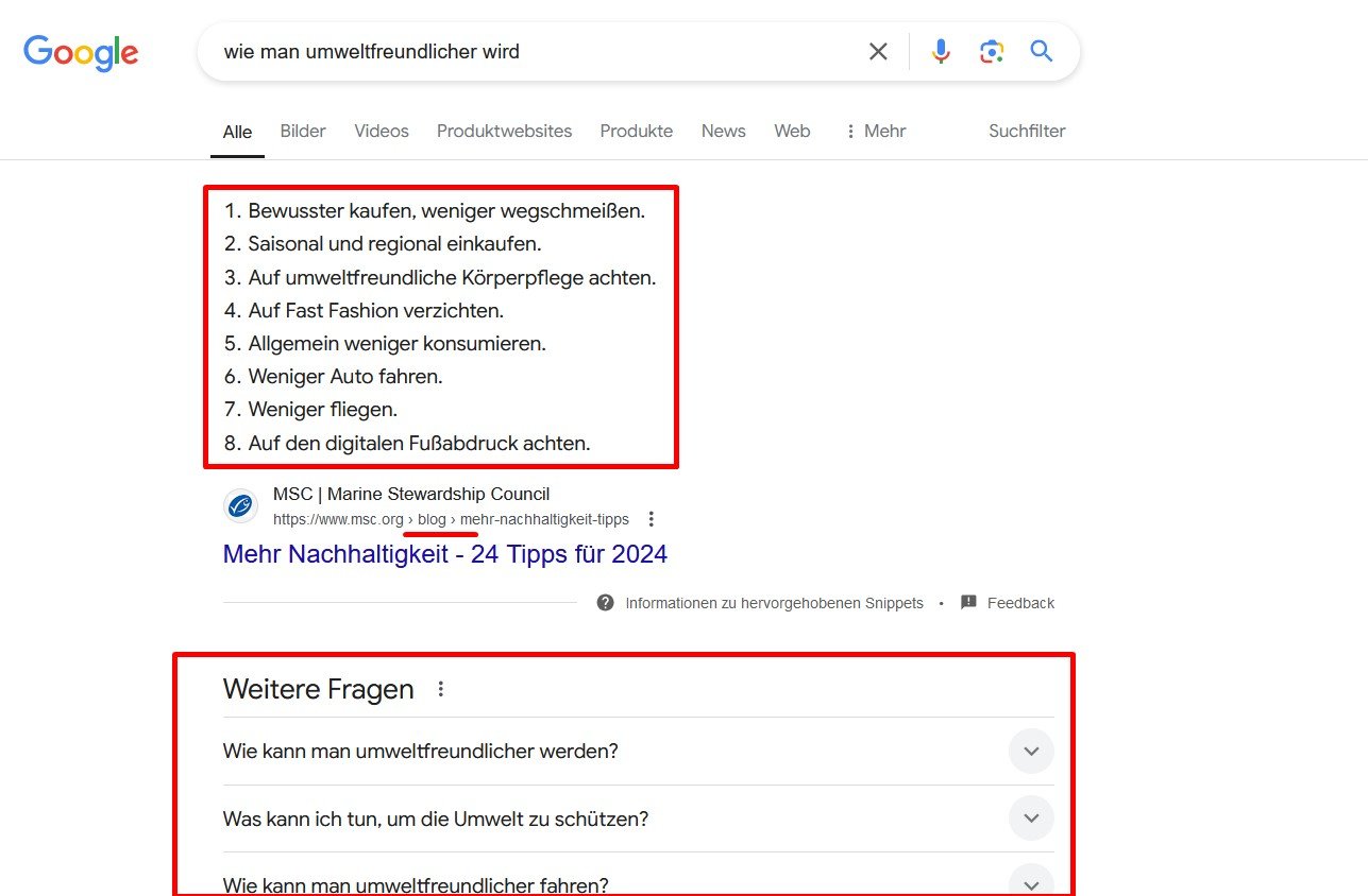 SERP-Ergebnisse für die Informationsabsicht