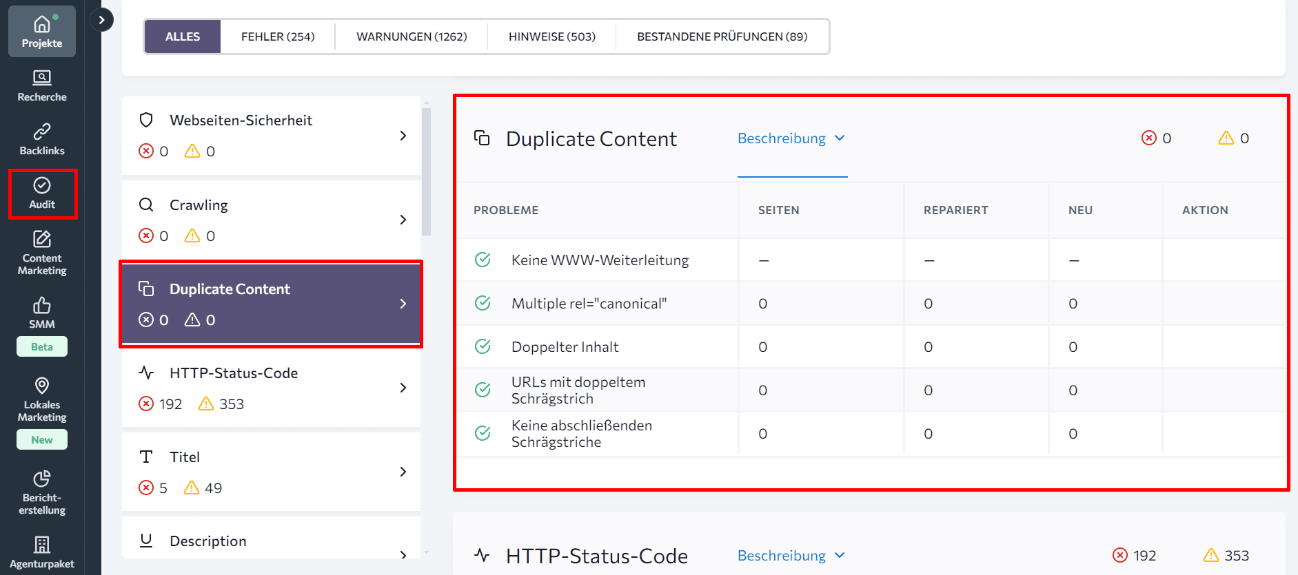 Doppelte Inhalte in der Website-Prüfung