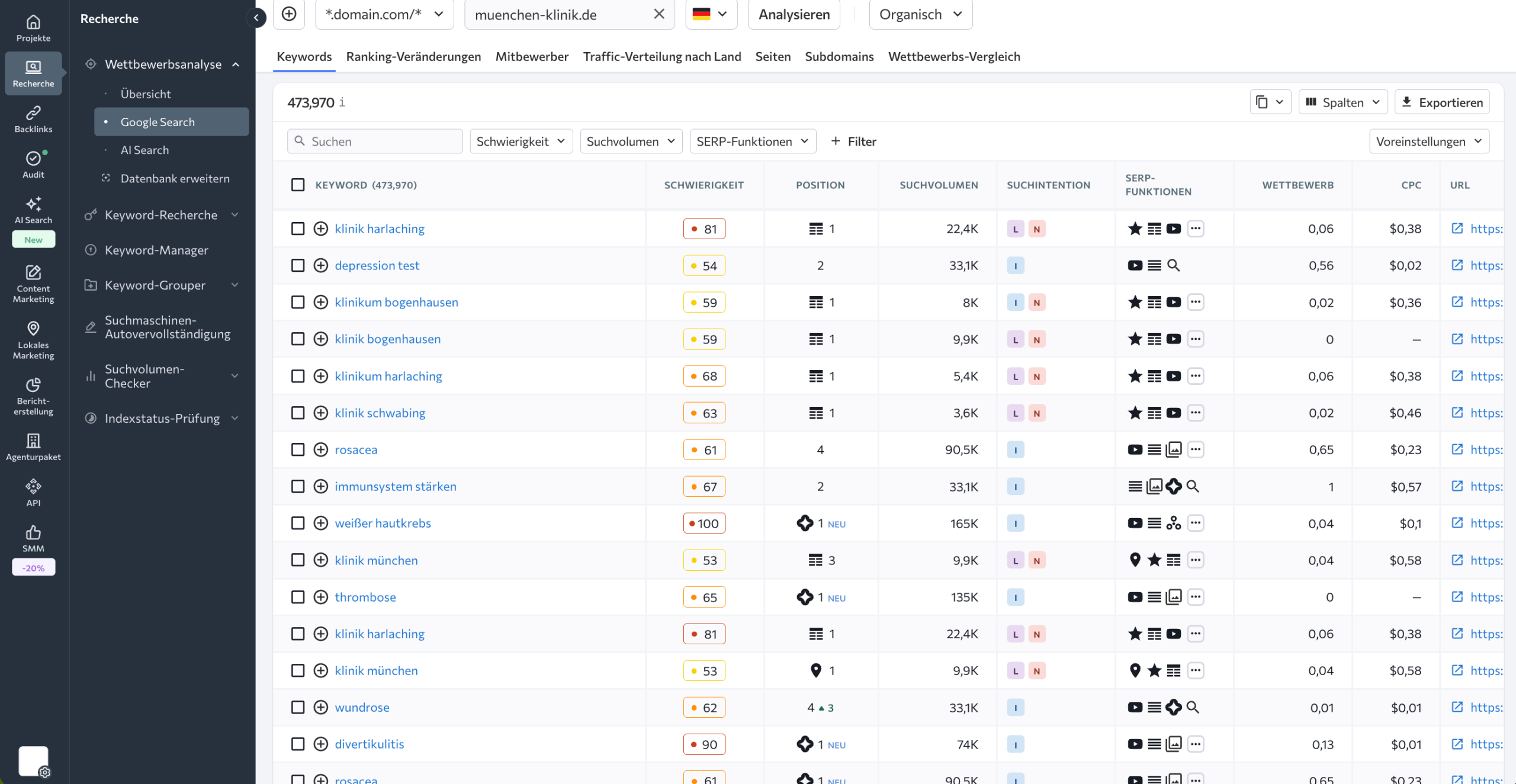 Organische Traffic-Daten Organische Traffic-Analyse