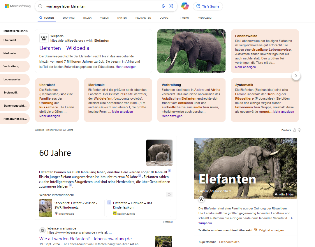 Bing’s neues KI generiertes Layout