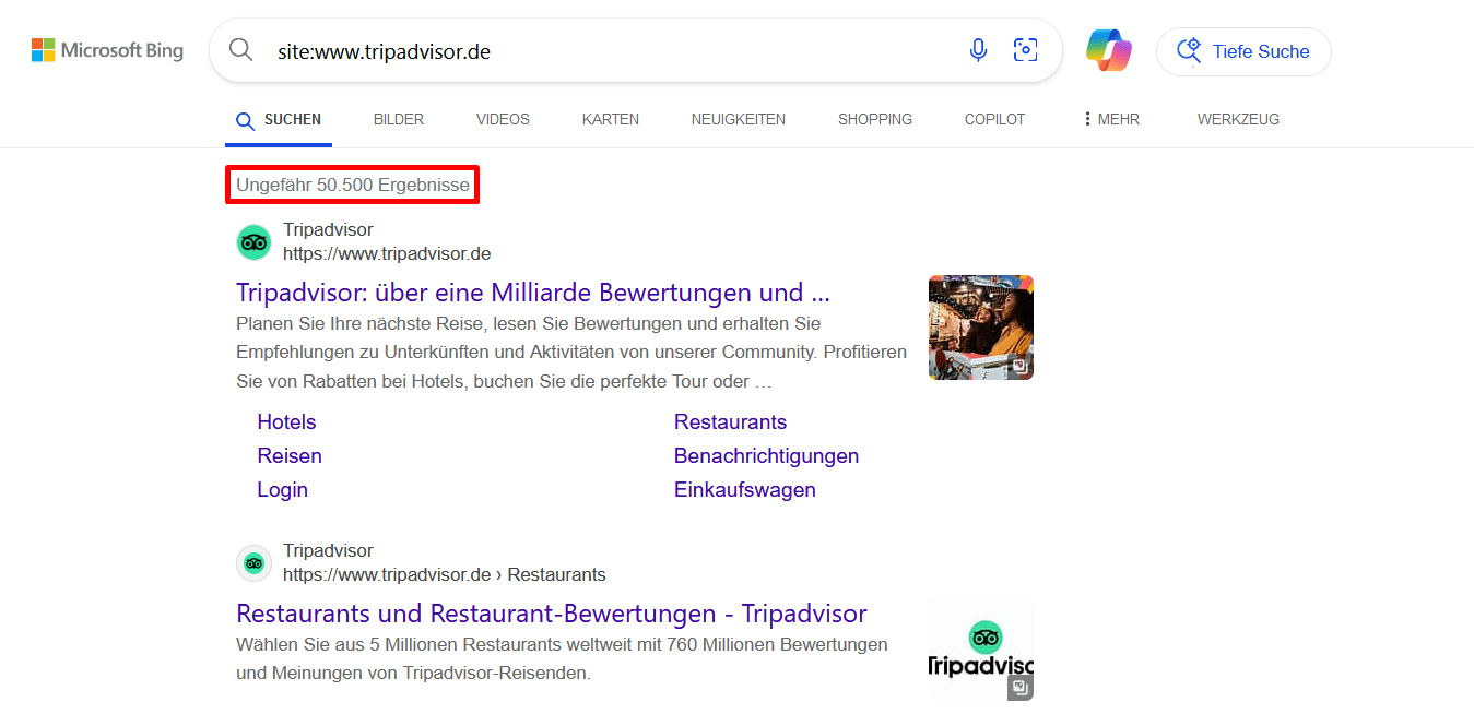 Überprüfung, ob die Website indiziert ist