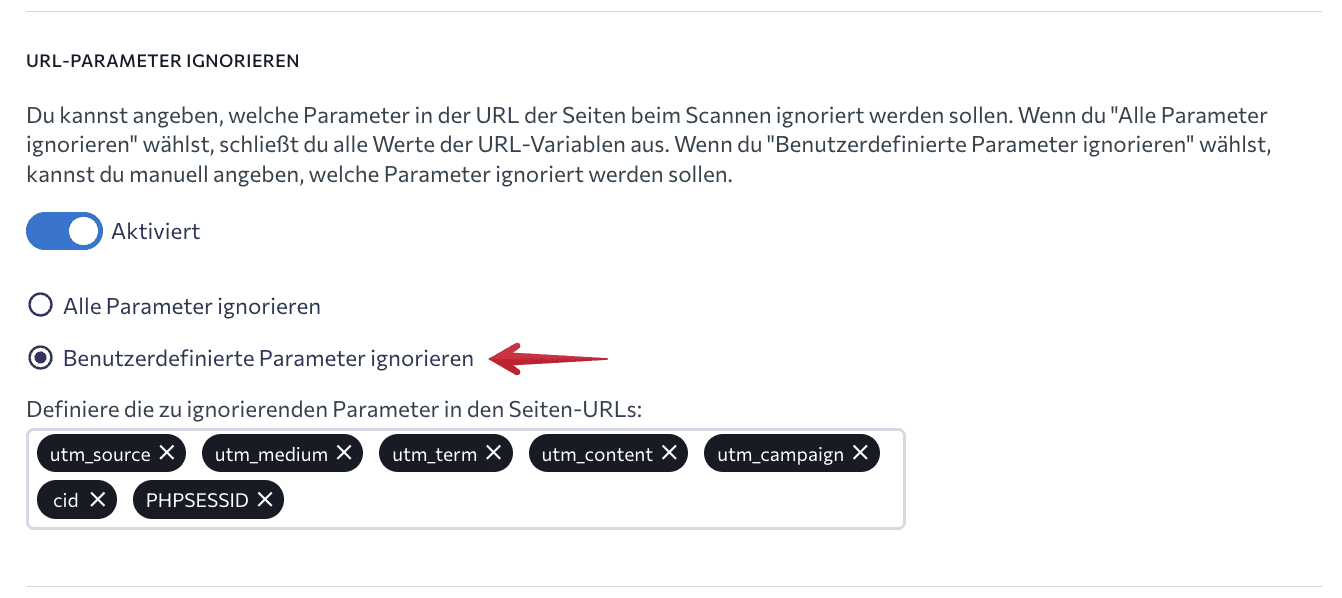Option „Benutzerdefinierte Parameter ignorieren“